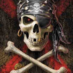 Anne Stokes Pirate Skull Flag